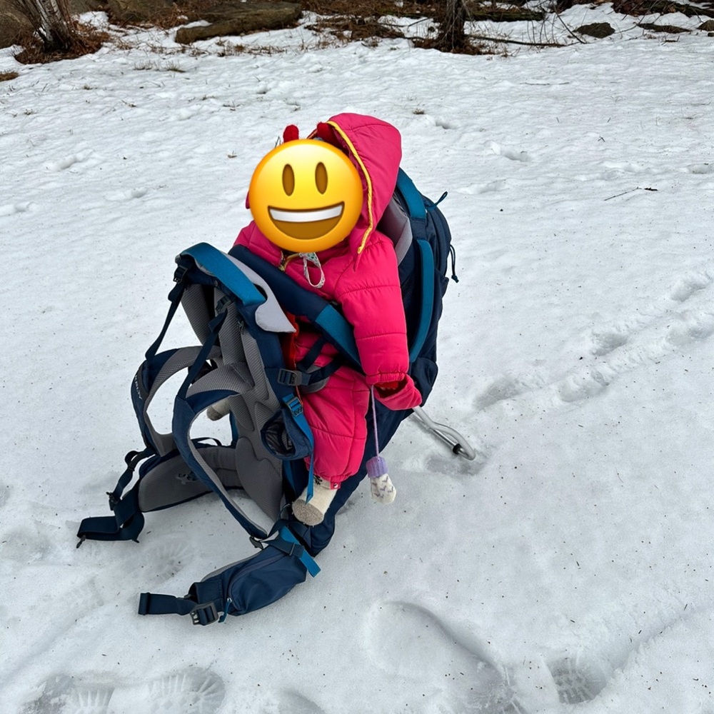 Kelty Kids Hiking Carrier